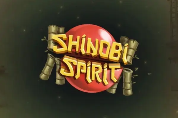 Shinobi Spirit